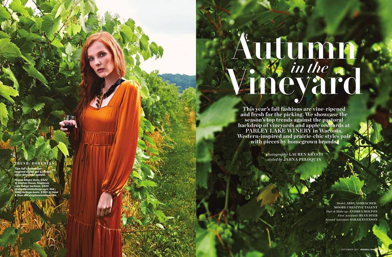 Autumn in the Vineyard