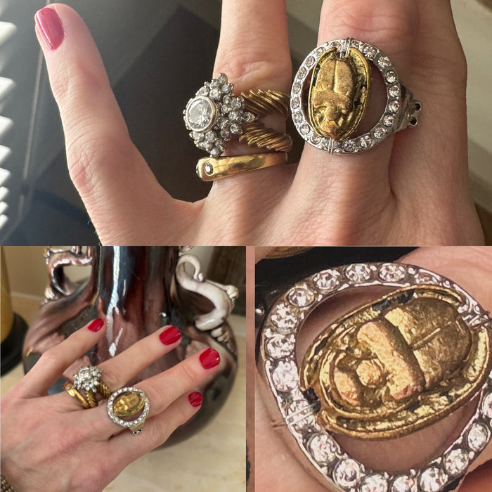 Scarab and the Path Around the Sun