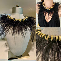 Ruffled Feathers