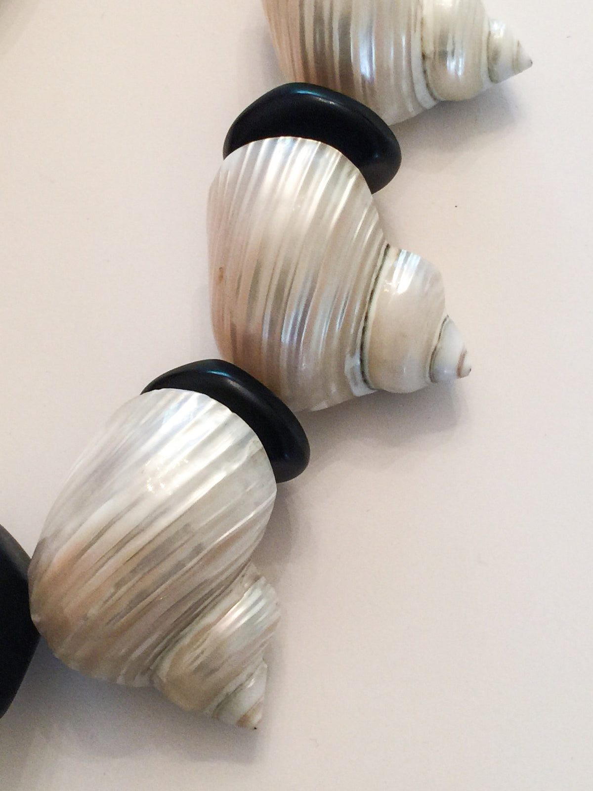 Sliced Seashells