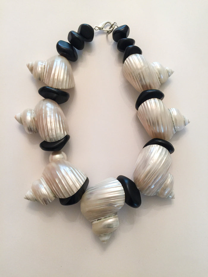 Sliced Seashells